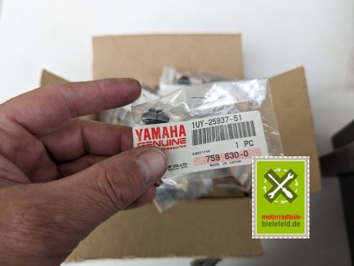 PXL_20240528_174825883